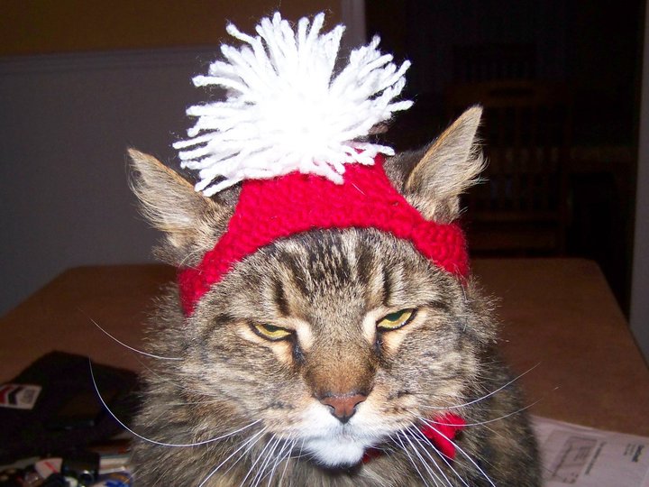 Remy's Hat II..jpg